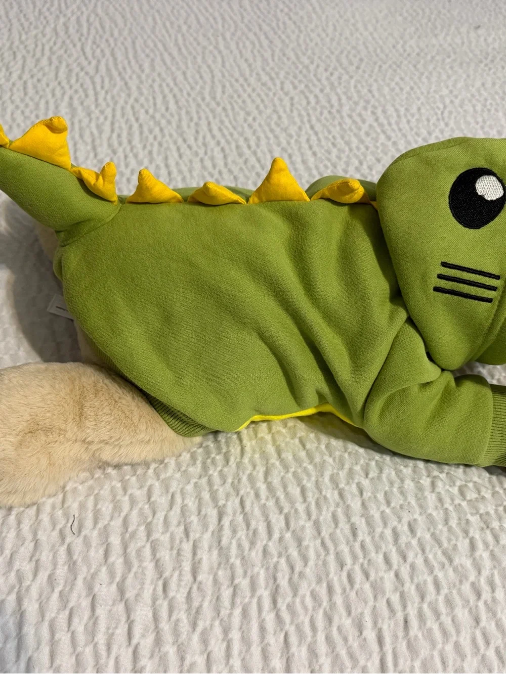 Dog Dinosaur Costume Small Dog Halloween Costume Warm Fleece Hoodie - Small
